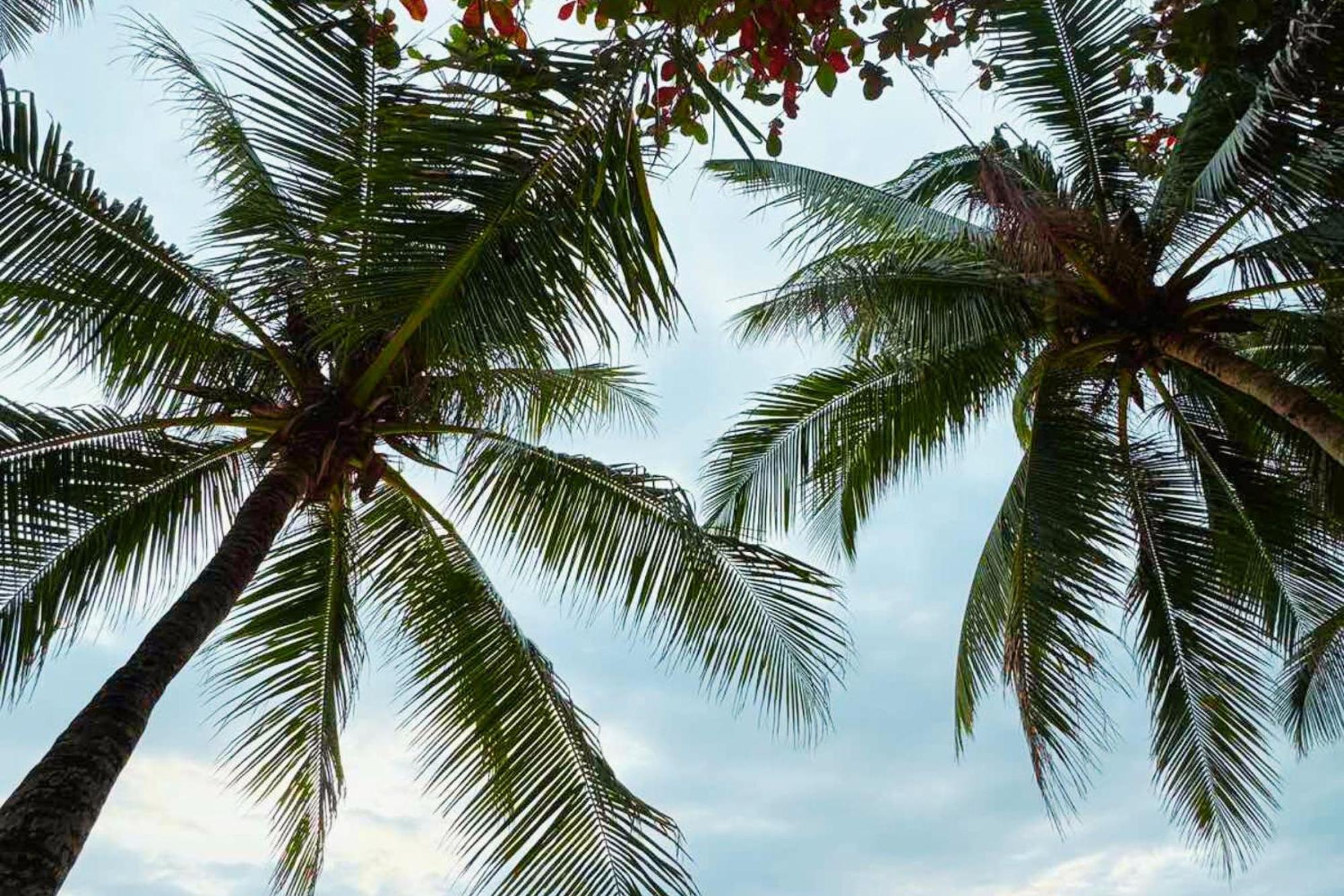 The Muse Hotel Boracay Balabag  Екстериор снимка